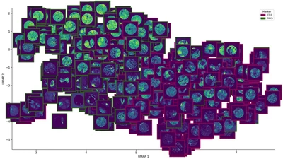 Representation Learning Workshop featured image