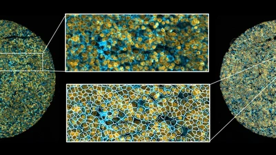 Spatialproteomics Workshop featured image